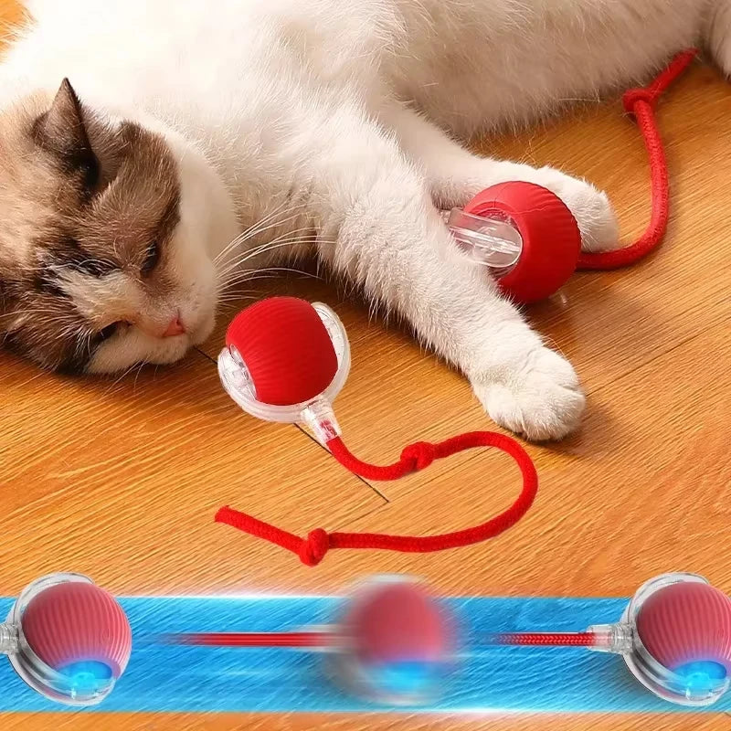 PawChase™ Smart Rolling Pet Ball