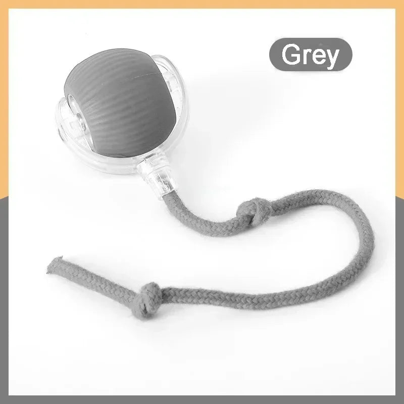PawChase™ Smart Rolling Pet Ball