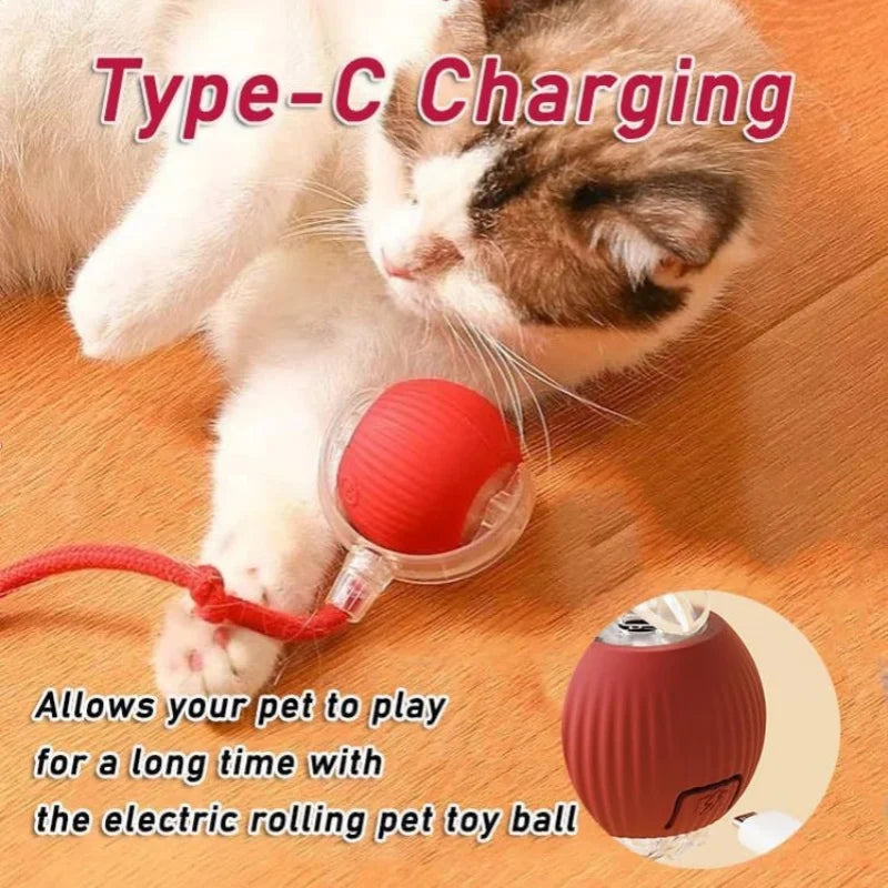 PawChase™ Smart Rolling Pet Ball