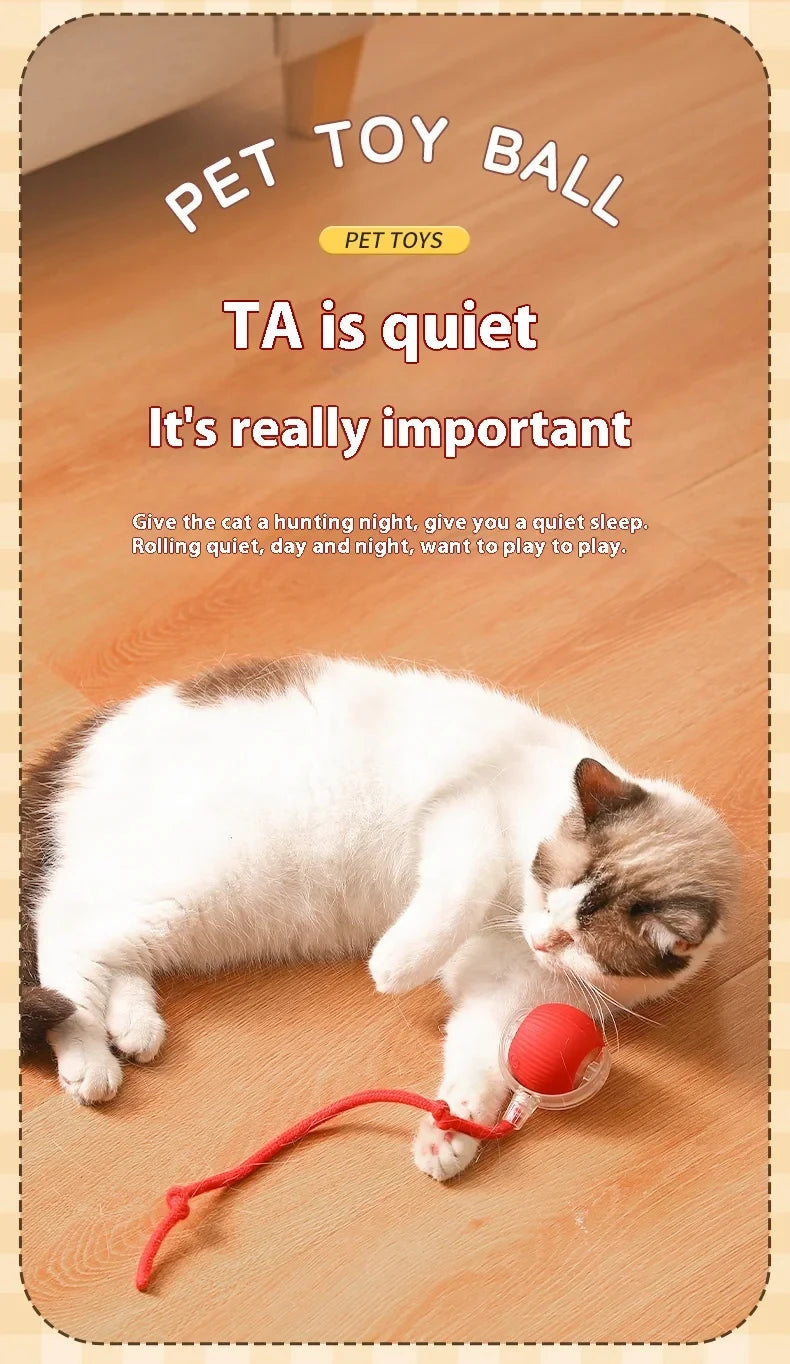 PawChase™ Smart Rolling Pet Ball