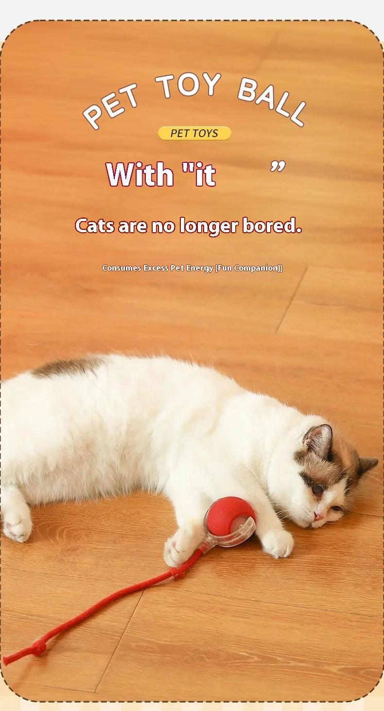 PawChase™ Smart Rolling Pet Ball