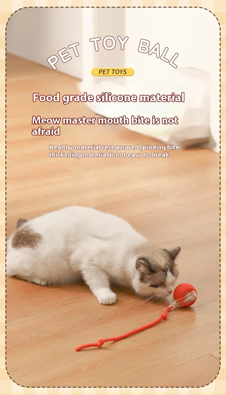 PawChase™ Smart Rolling Pet Ball