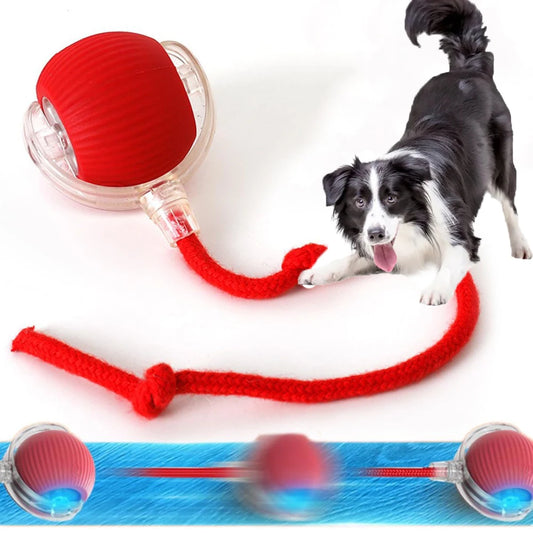 PawChase™ Smart Rolling Pet Ball