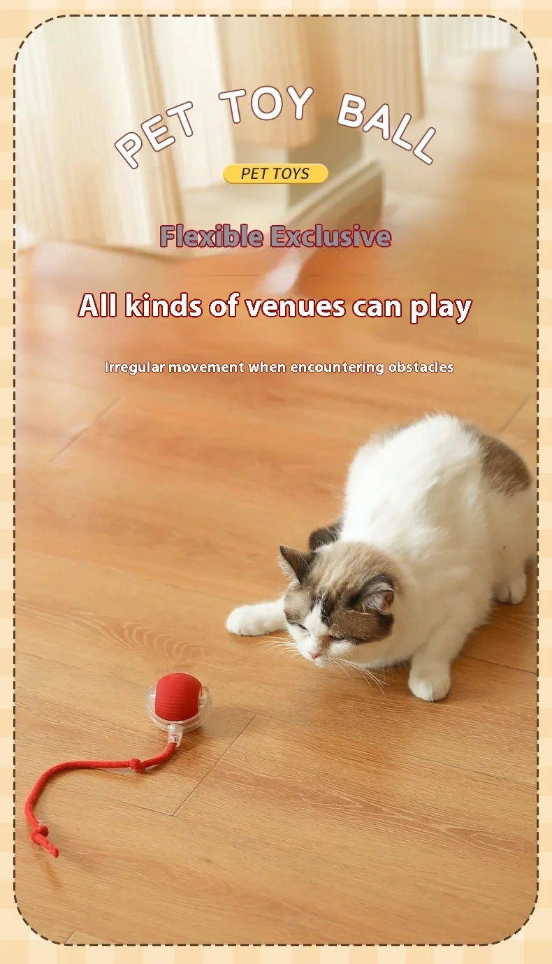PawChase™ Smart Rolling Pet Ball