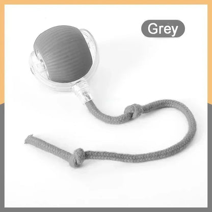 PawChase™ Smart Rolling Pet Ball