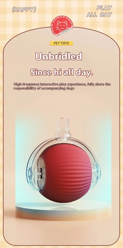 PawChase™ Smart Rolling Pet Ball