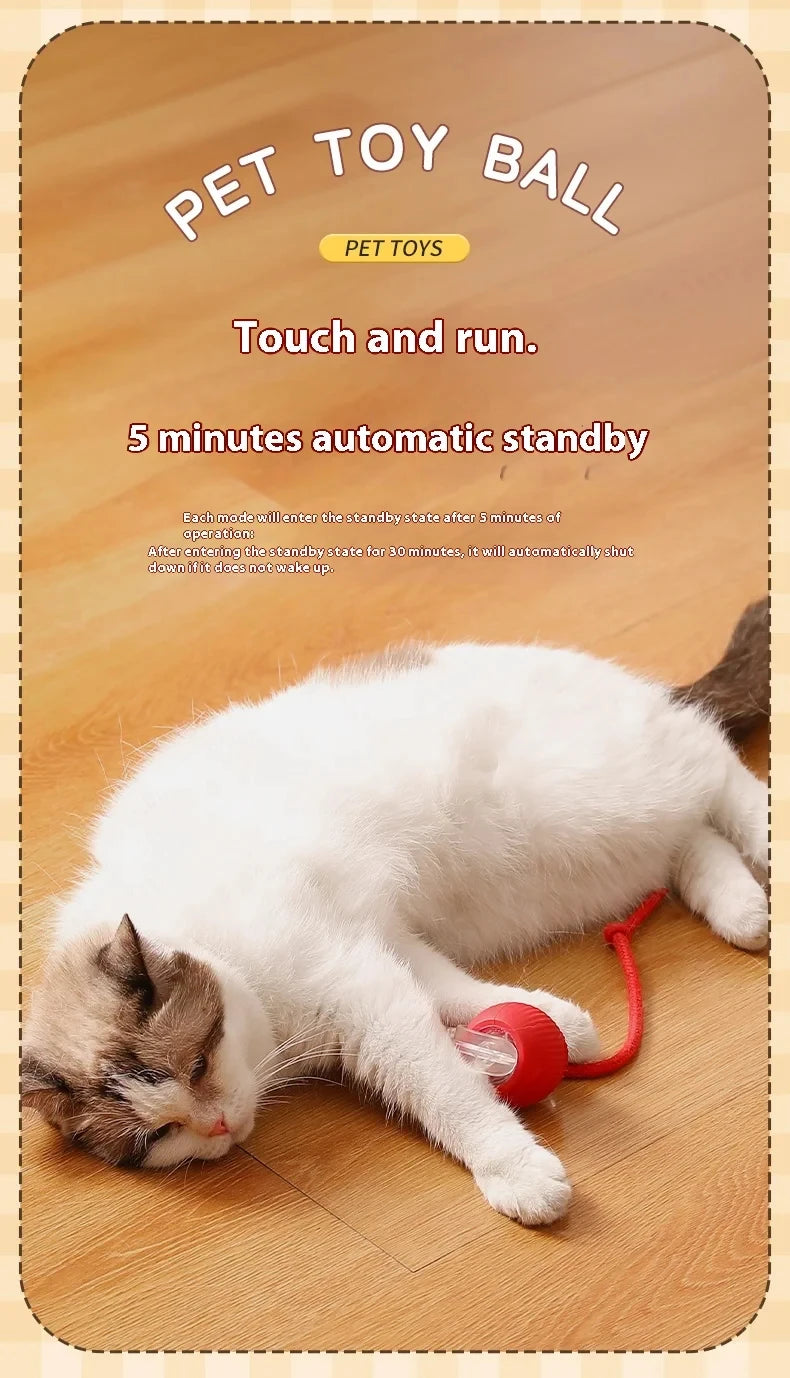PawChase™ Smart Rolling Pet Ball