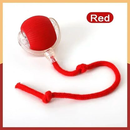 PawChase™ Smart Rolling Pet Ball
