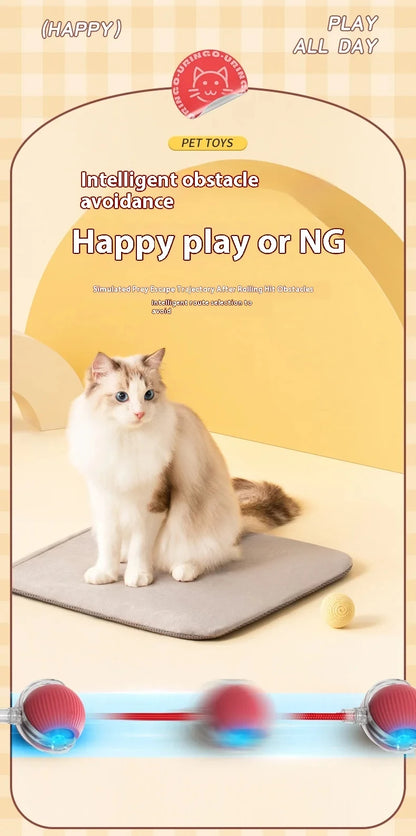 PawChase™ Smart Rolling Pet Ball