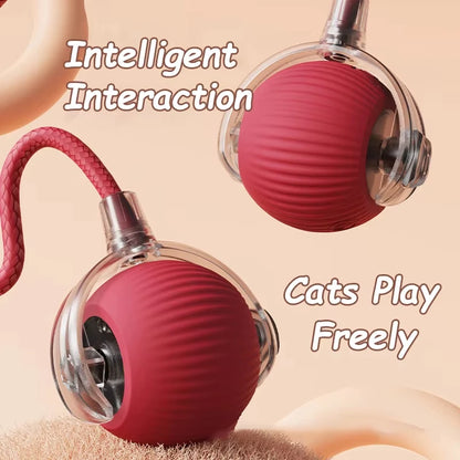 PawChase™ Smart Rolling Pet Ball