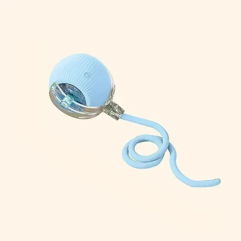 PawChase™ Smart Rolling Pet Ball