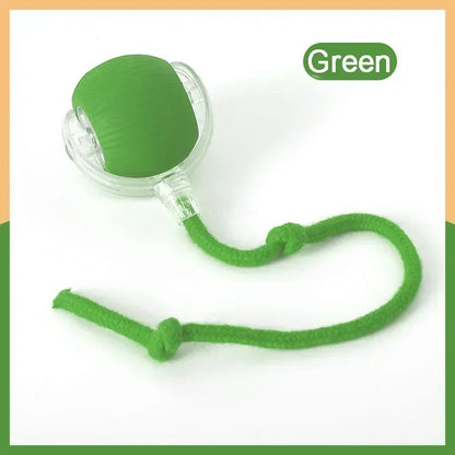 PawChase™ Smart Rolling Pet Ball