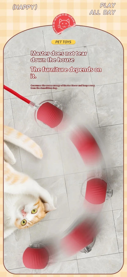 PawChase™ Smart Rolling Pet Ball