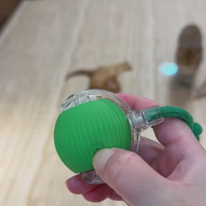 PawChase™ Smart Rolling Pet Ball