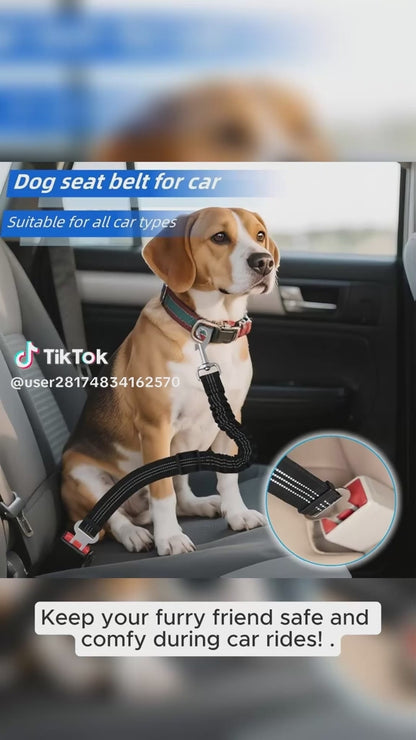 SafeRide™ Elastic Pet Car Seat Belt