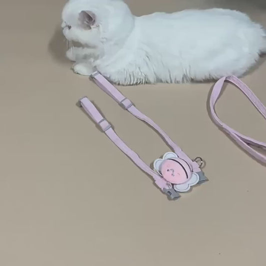 Bee-Themed Cat Harness & Leash Set – Adjustable & Comfortable