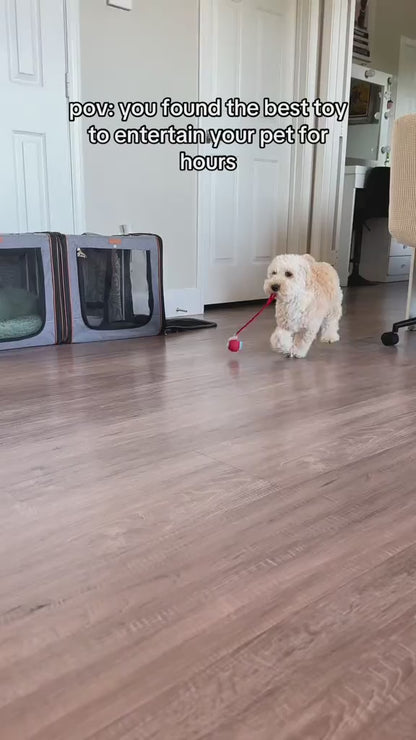 PawChase™ Smart Rolling Pet Ball